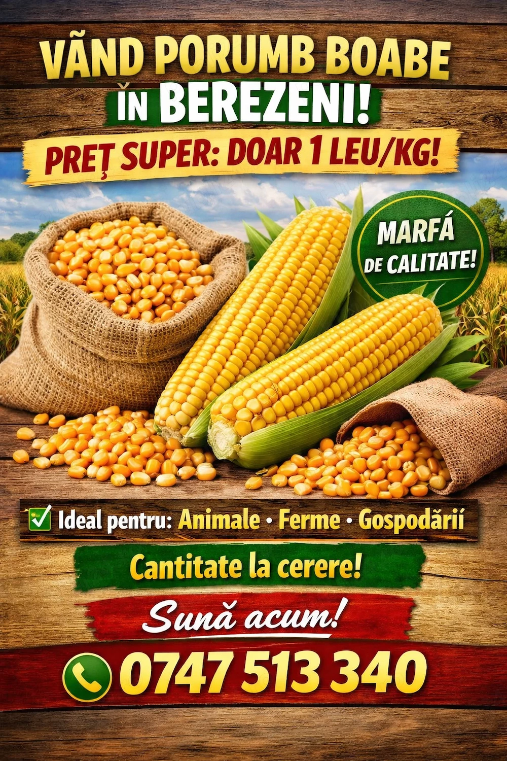 Porumb boabe de vanzare in Berezeni, judetul Vaslui