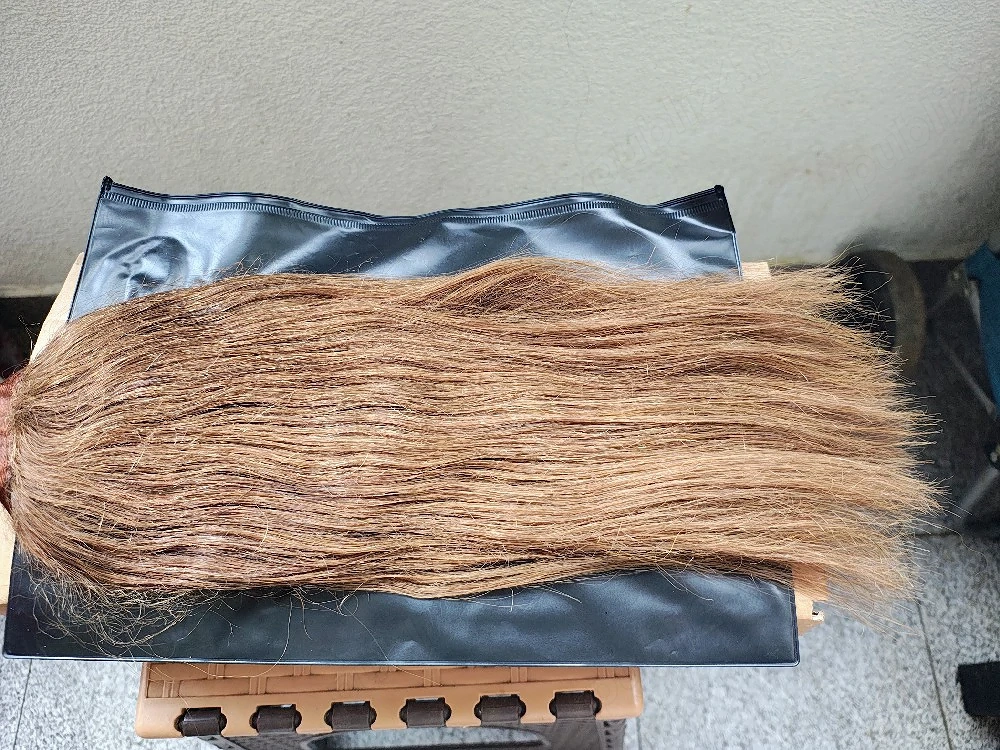 Coada par castaniu deschis