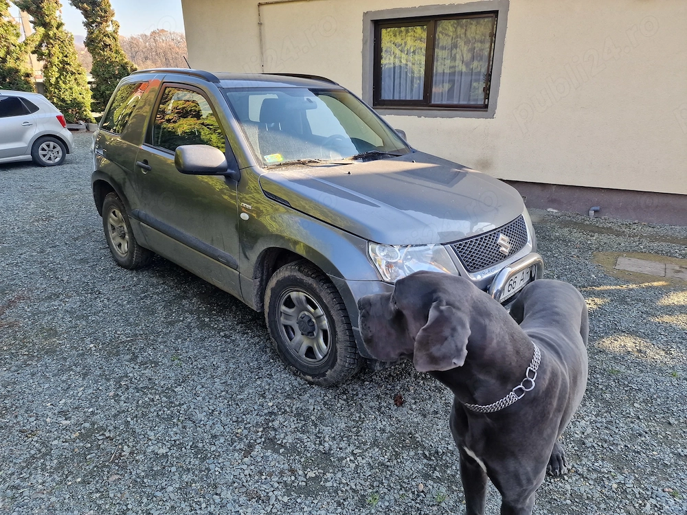 Vand Suzuki Grand Vitara 