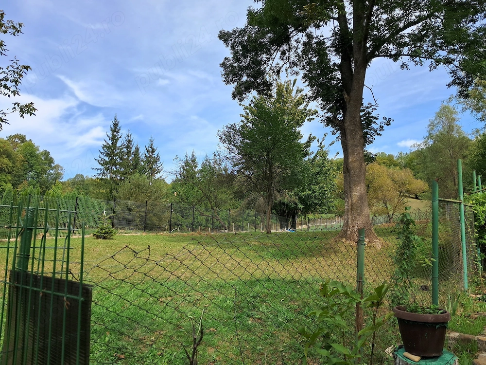 Teren intravilan de vanzare Provita de jos