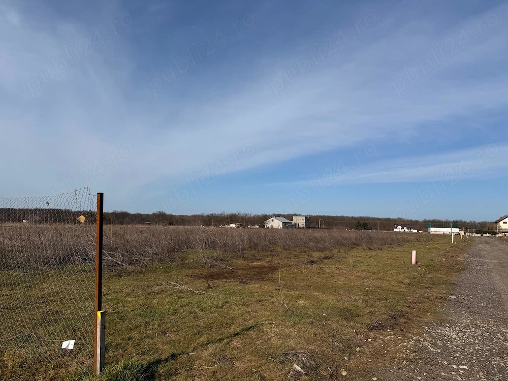 TEREN 450 MP , Brănești, Strada Violetelor 