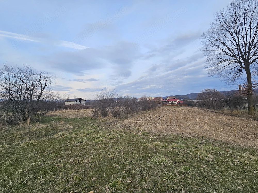 Teren de Vanzare in Curtea de Arges (2645 mp) Ideal Parcelare