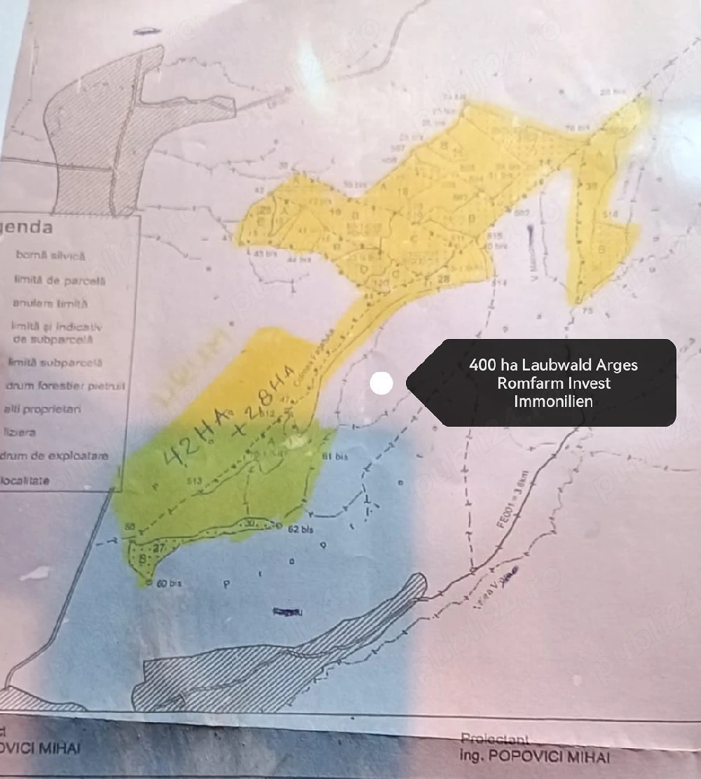 400 ha Padure foiasa