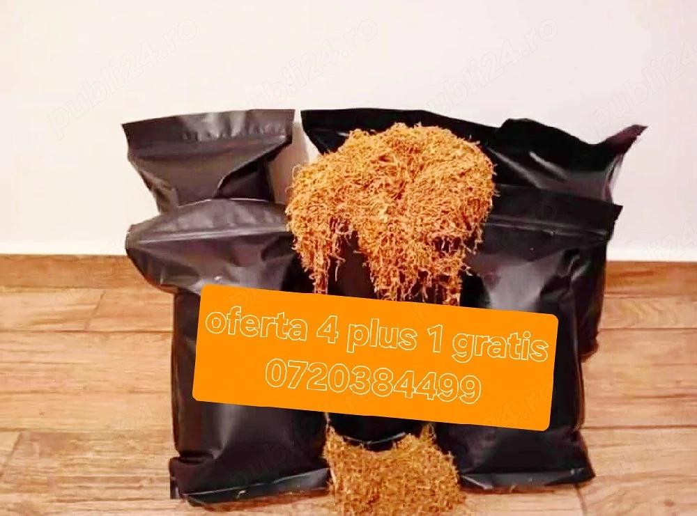 Super oferte calitate superioară Belgia si Olanda 