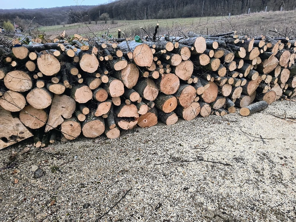 Vand lemne de foc esenta tare transport la domiciliu 