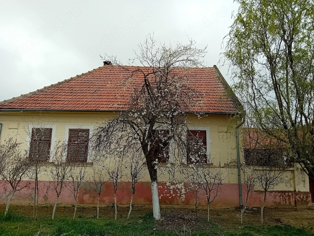 Proprietar, vând casă cu grădină mare în Hitiaș