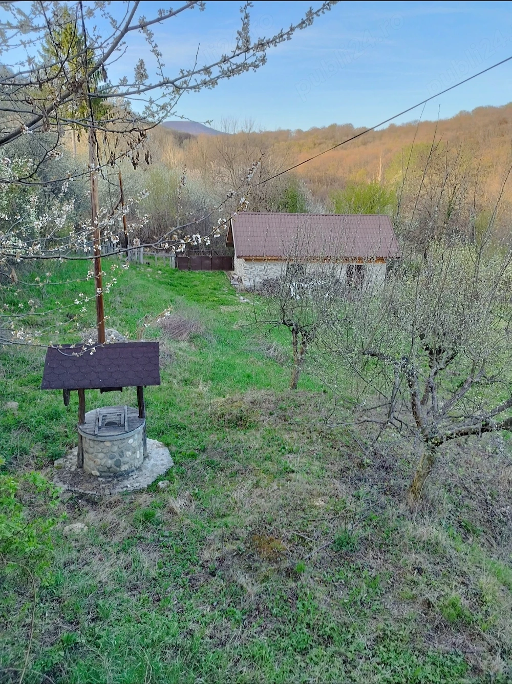 Cramă din piatră casă bătrânească beci din piatră livadă pomi