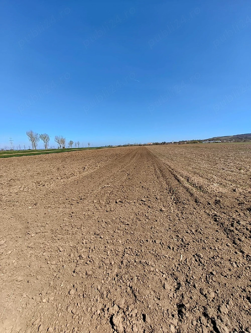 Teren agricol extravilan arabil 