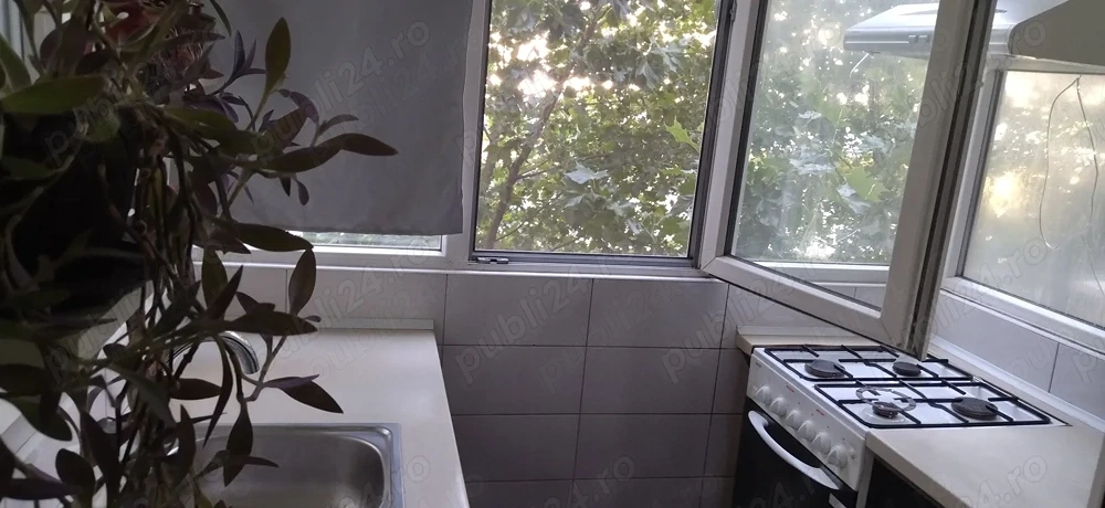 brancoveanu luica bloc nou