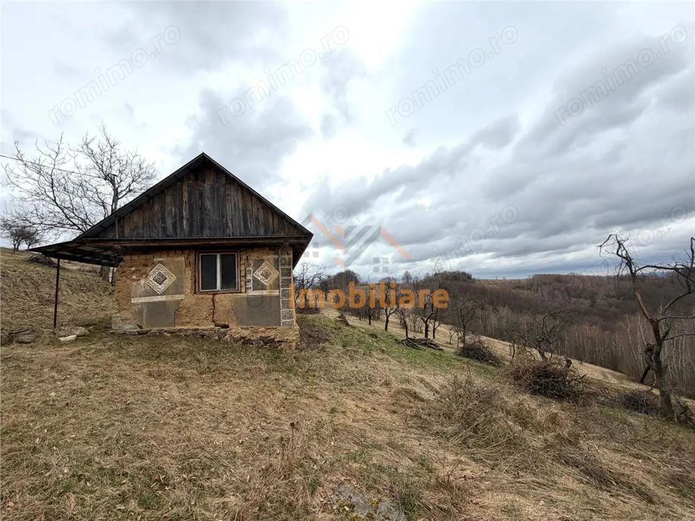 TEREN 34.000 MP | SERANI BIHOR