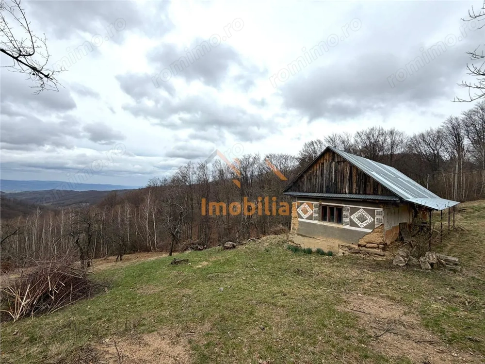 TEREN 34.000 MP | SERANI BIHOR