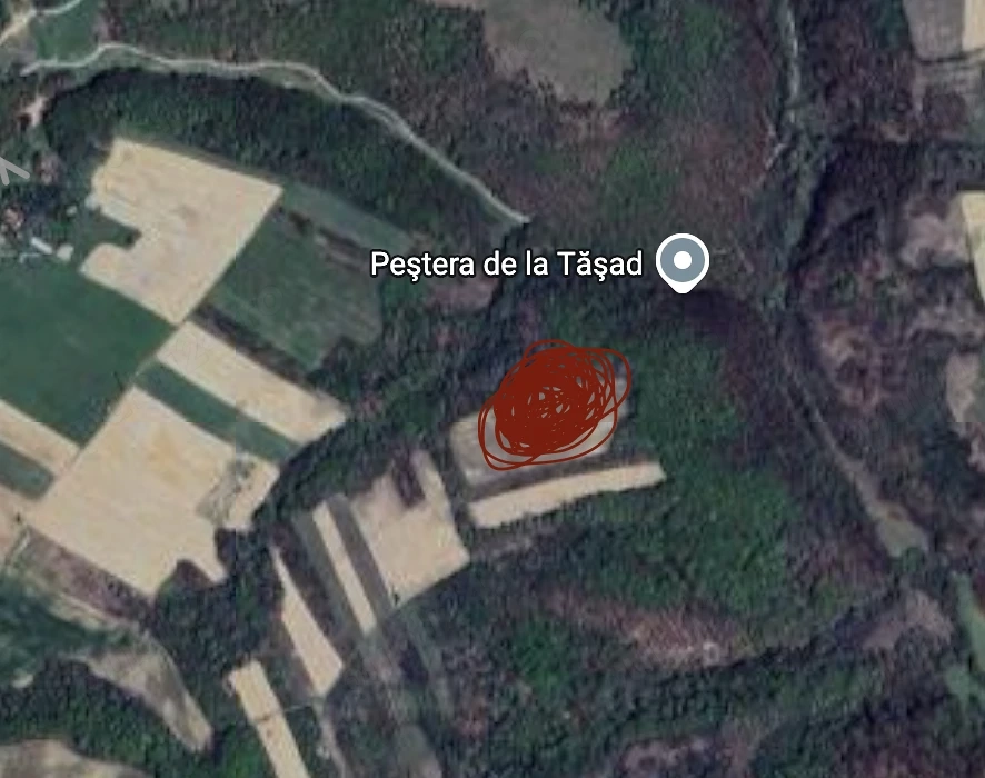 Vând Teren Extravilan Tășad - Zona Peșteră (Stracoș, Drăgești)