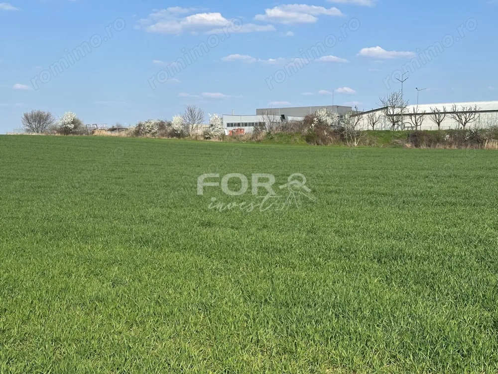 Teren intravilan de vanzare 1000 mp zona Aeroport Oradea