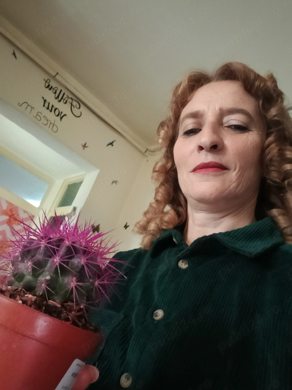 Caut loc de munca in domeniul curateniei