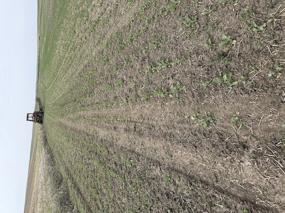 Teren arabil Vasilati