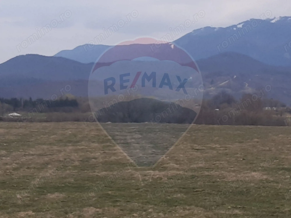 Teren 10,000mp Rasnov / Drumul Panicel