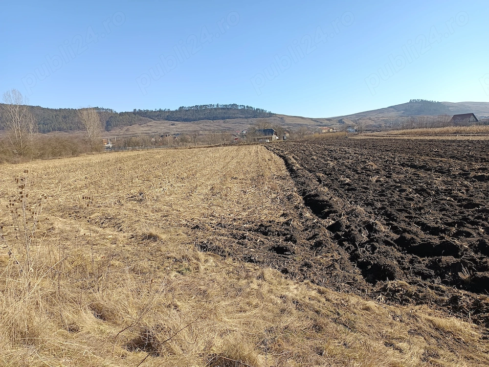 teren  agricol  in arenda BONTIDA