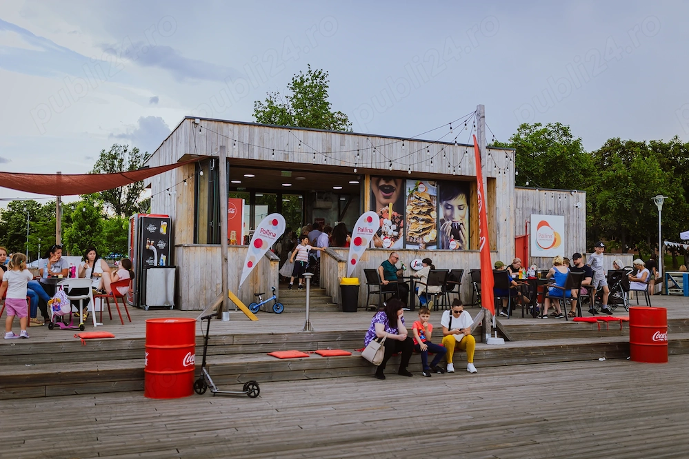 Lucrator comercial -pallina gelateria insula