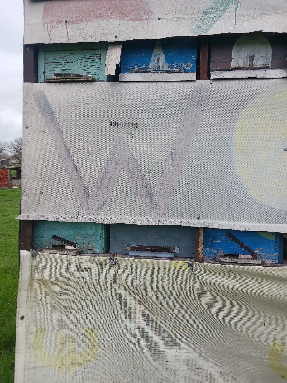 Vând 10 familii albine,  apte pentru cules.