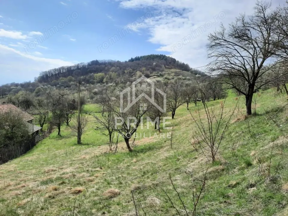 TEREN INTRAVILAN 13700 MP, INURI, VINTU DE JOS
