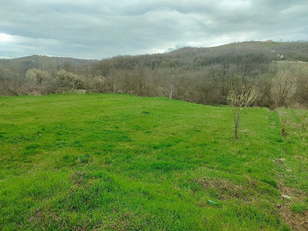 Teren intravilan ,in Drăgășani   Sutești 