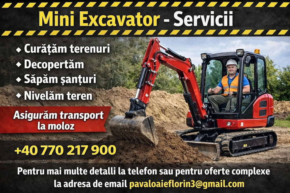 Mini excavator efectuez lucrări 