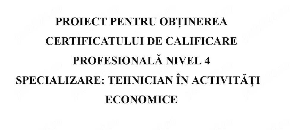 Vand Atestat Economic pentru liceu