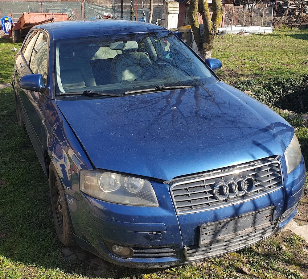 Dezmembrez Audi A3 8P