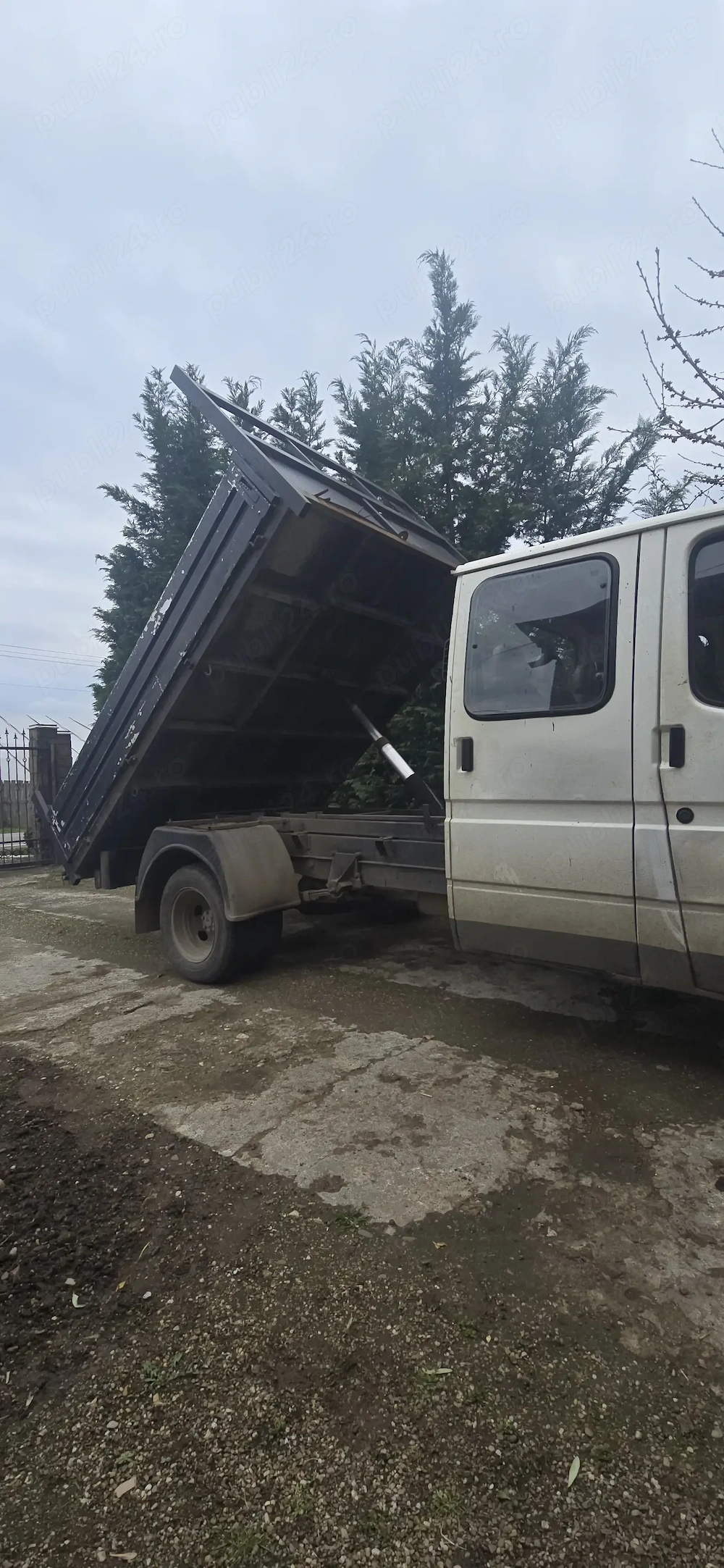 Ford transit basculabil