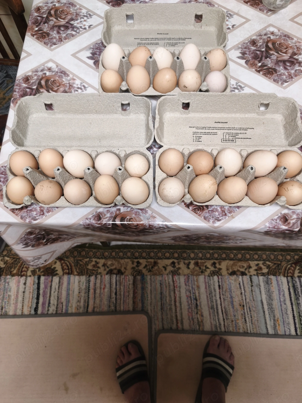 Vând Ouă de țară proaspete!
