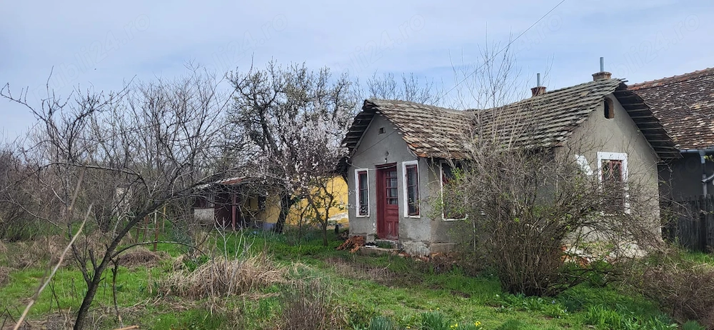 Teren 2000 mp Plenița   ideal pentru construcție, poziție bună cu 2 case bătrânești