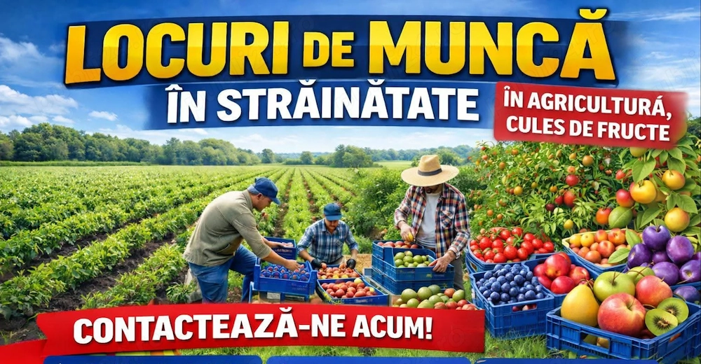 Se caută 4 cupluri la  rărit de mere si pere 