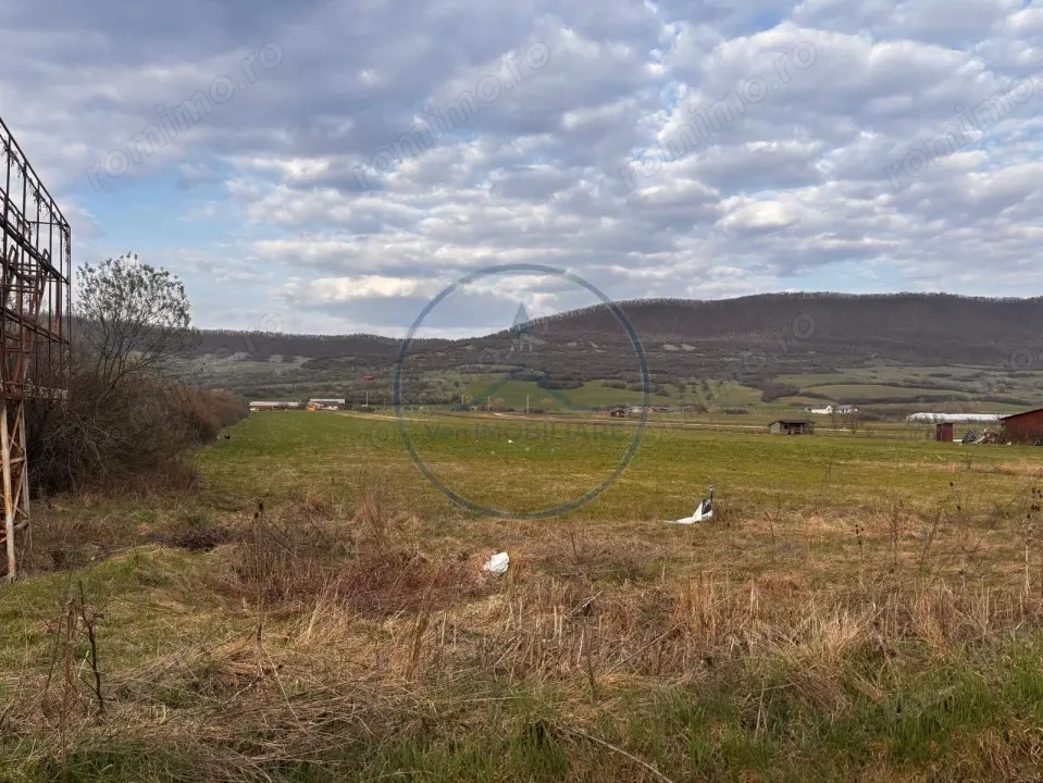 Teren 1.23 ha | DN17 | Șieu-Măgheruș 