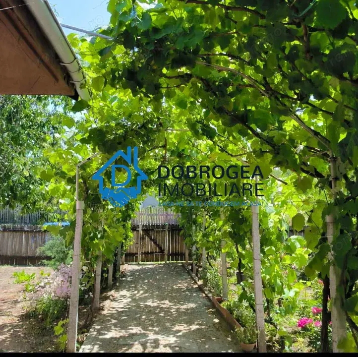 CATALOI - CASA 3 CAMERE, SUPRAFATA 76,50 MP, TEREN 2250 MP