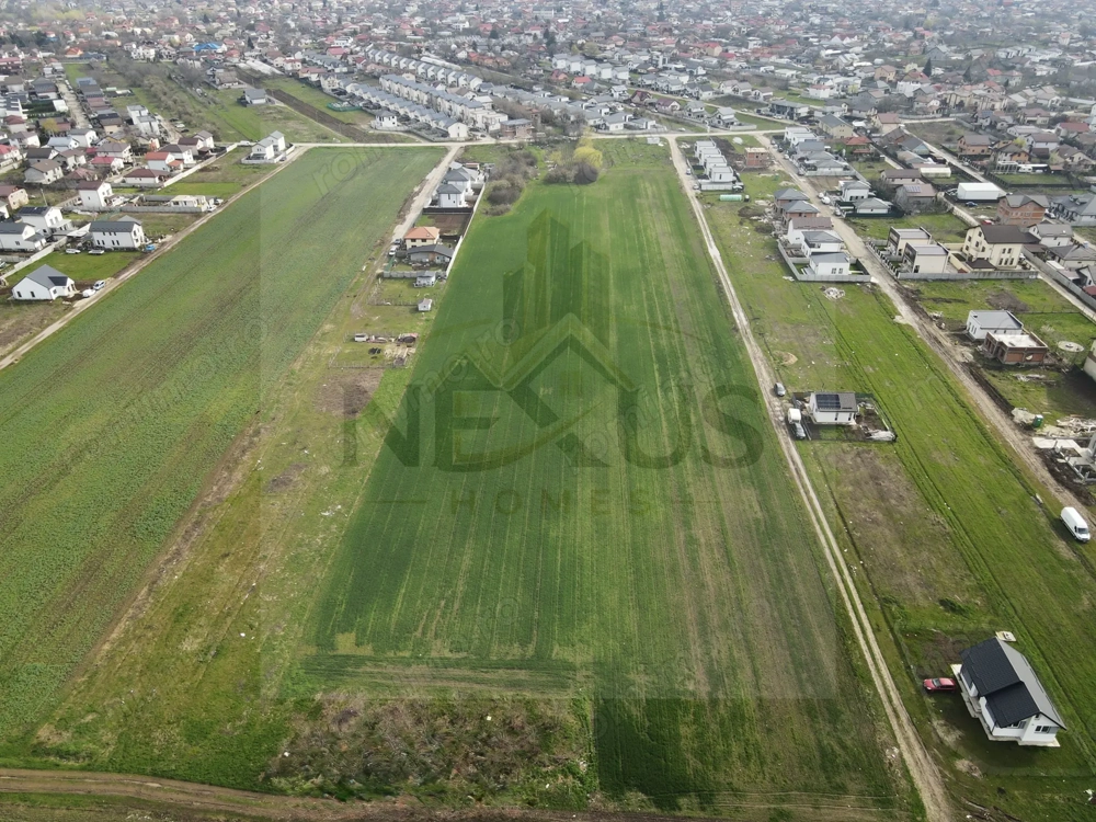 Teren  de vânzare Berceni – Str. Campului~ Oportunitate de investitie