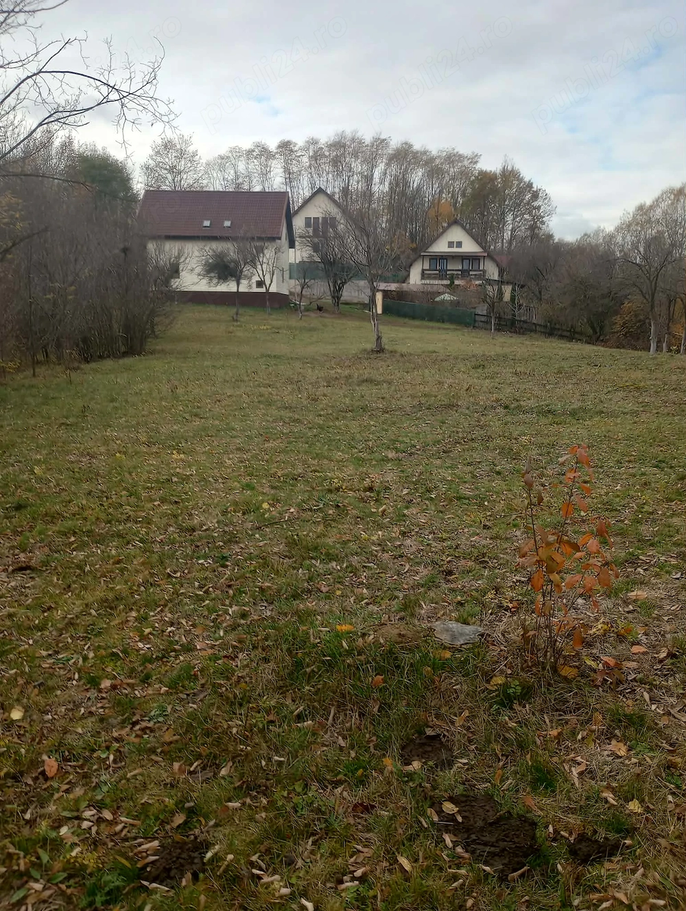 De vanzare casa si teren in Faget, DRAJNA, Prahova