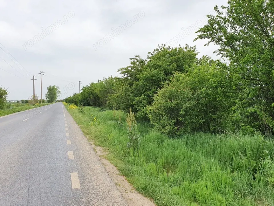 Vidra, Sat Cretesti, vanzare teren, comision 0