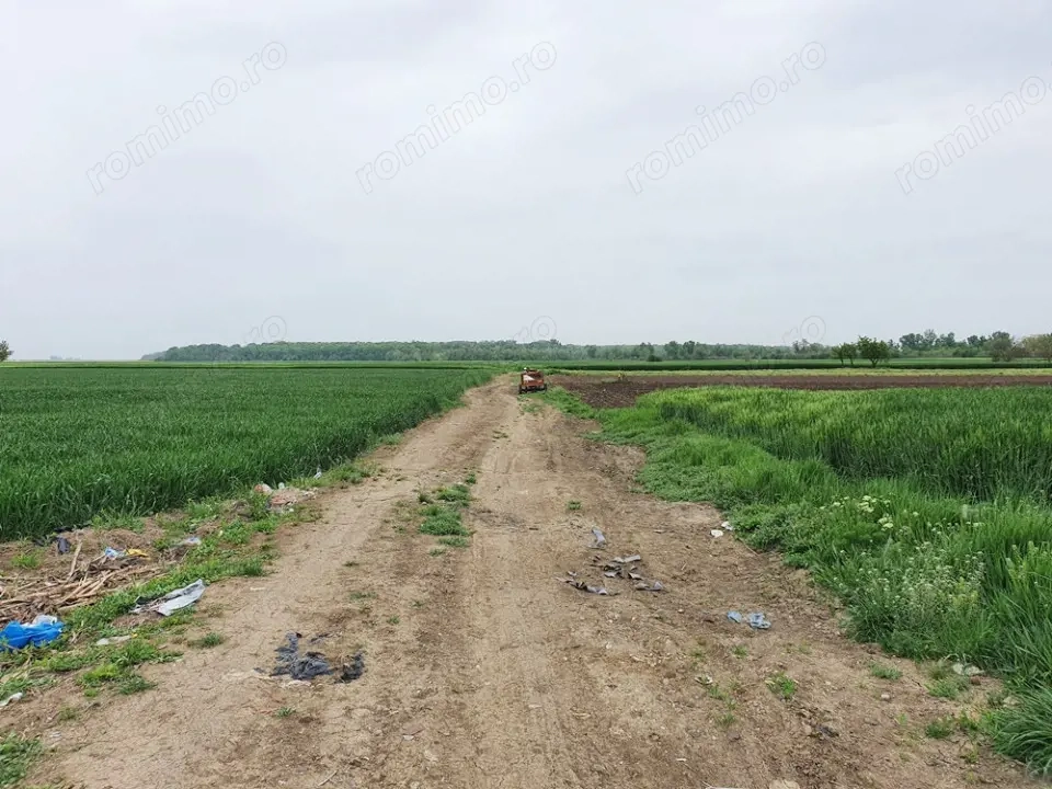 Comuna Vidra, Sat Cretesti, teren extravilan