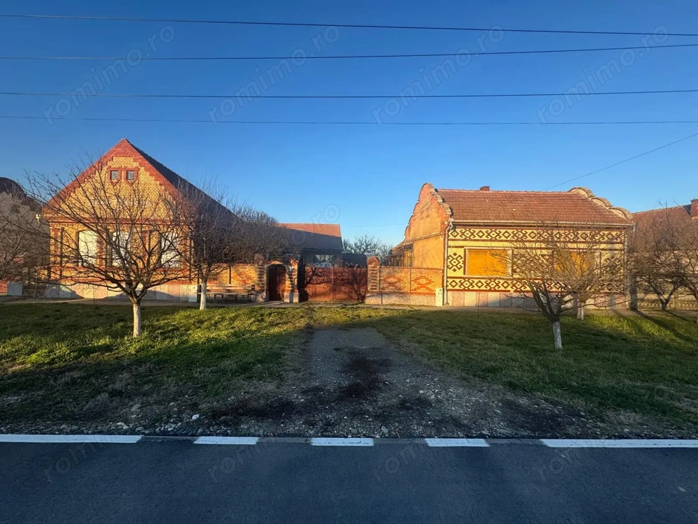 De vanzare proprietate in Belint, jud. Timis – 2 case si teren 7.805 mp