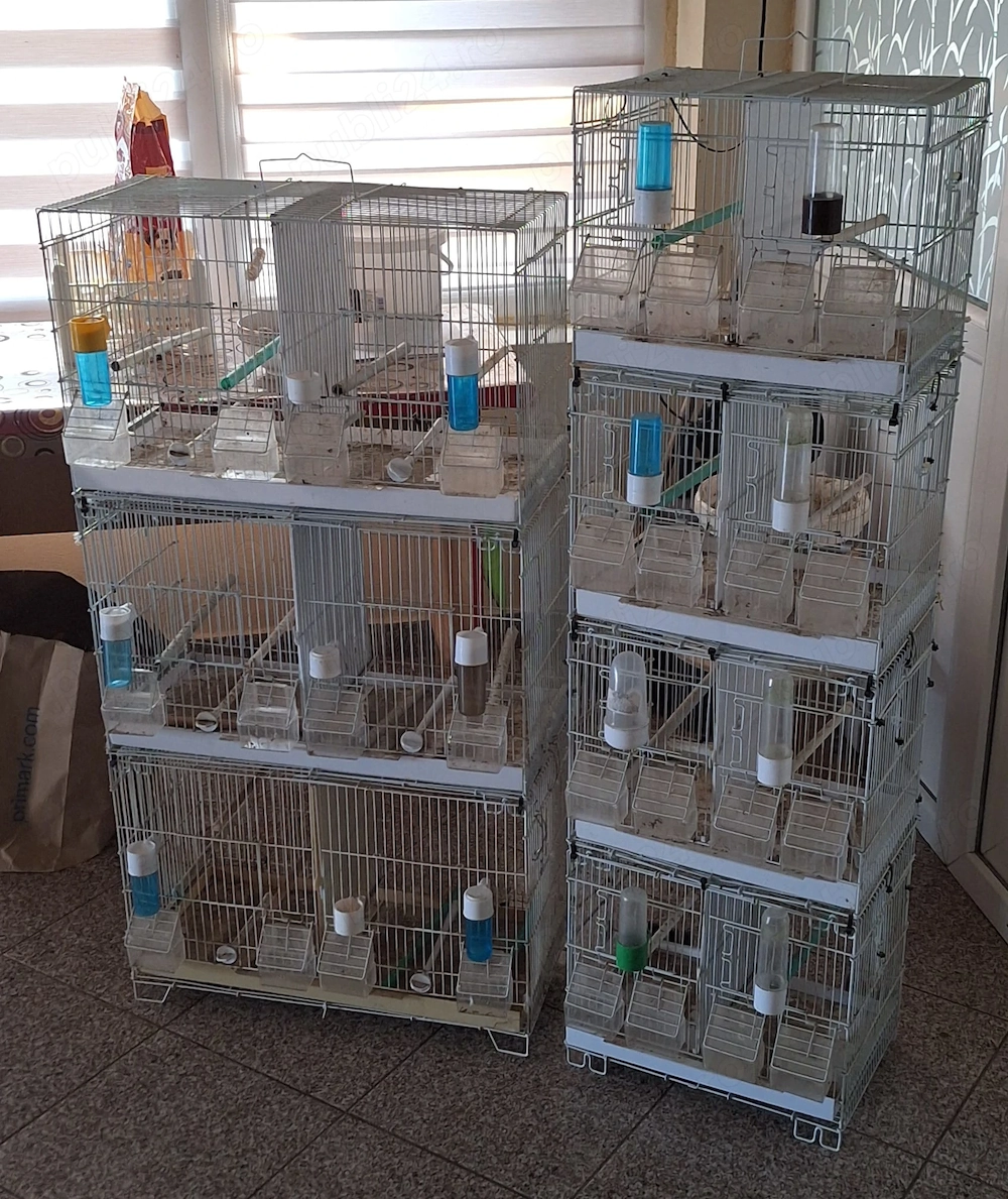 Vand colivii pasari . 