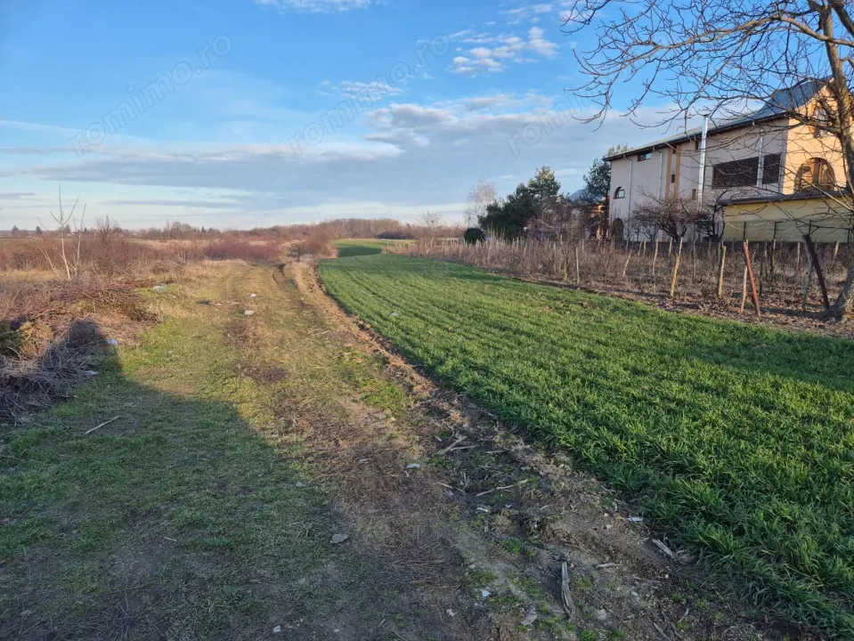 Vand teren in Tintava cu deschidere la PADURE (Gradinari, Giurgiu)