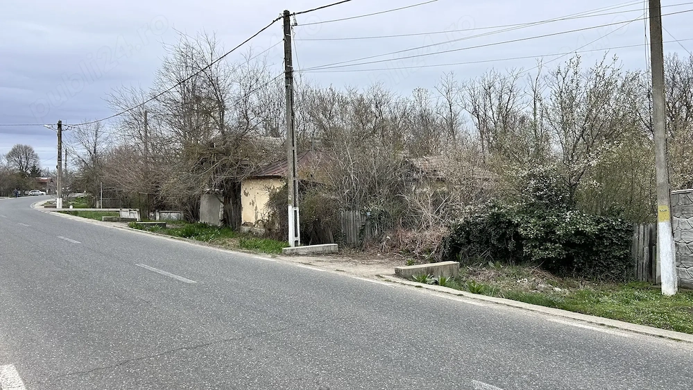  TEREN pentru loc de casa   Socetu Com. Stejaru Jud.Teleorman