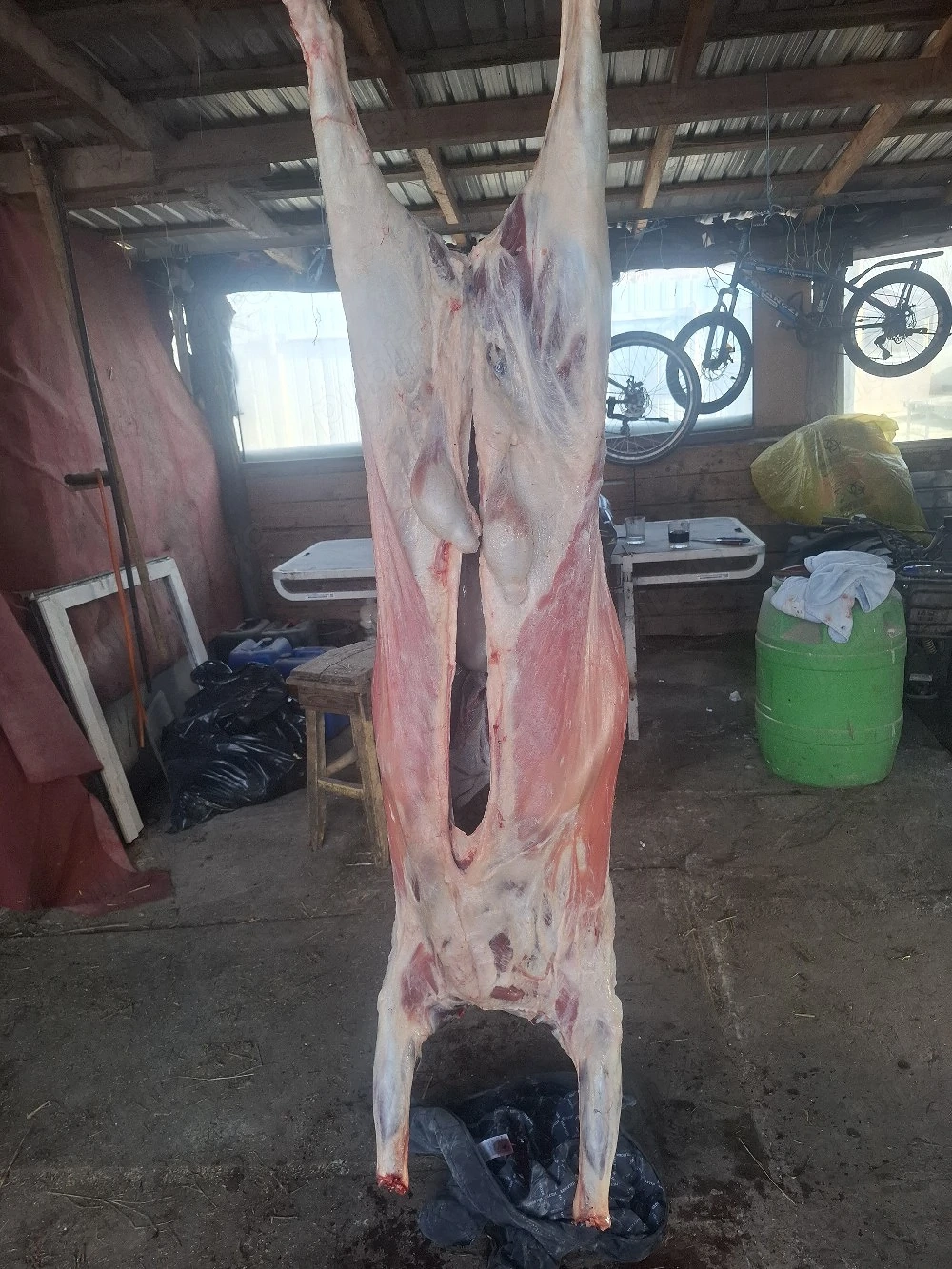 pastramă de berbecuț 