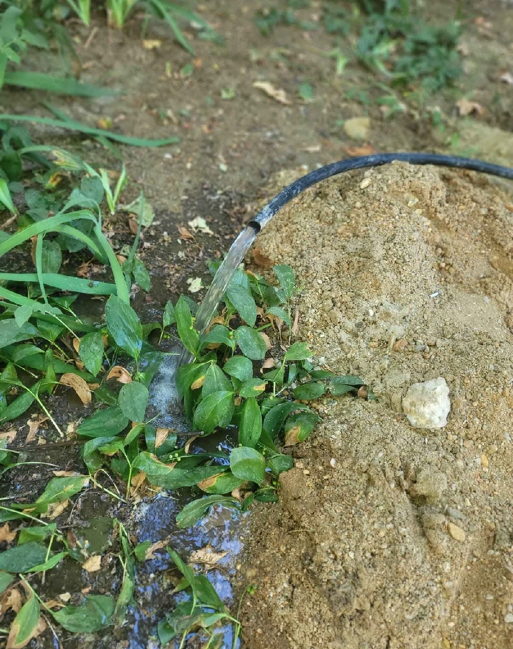 foraje puțuri apa 