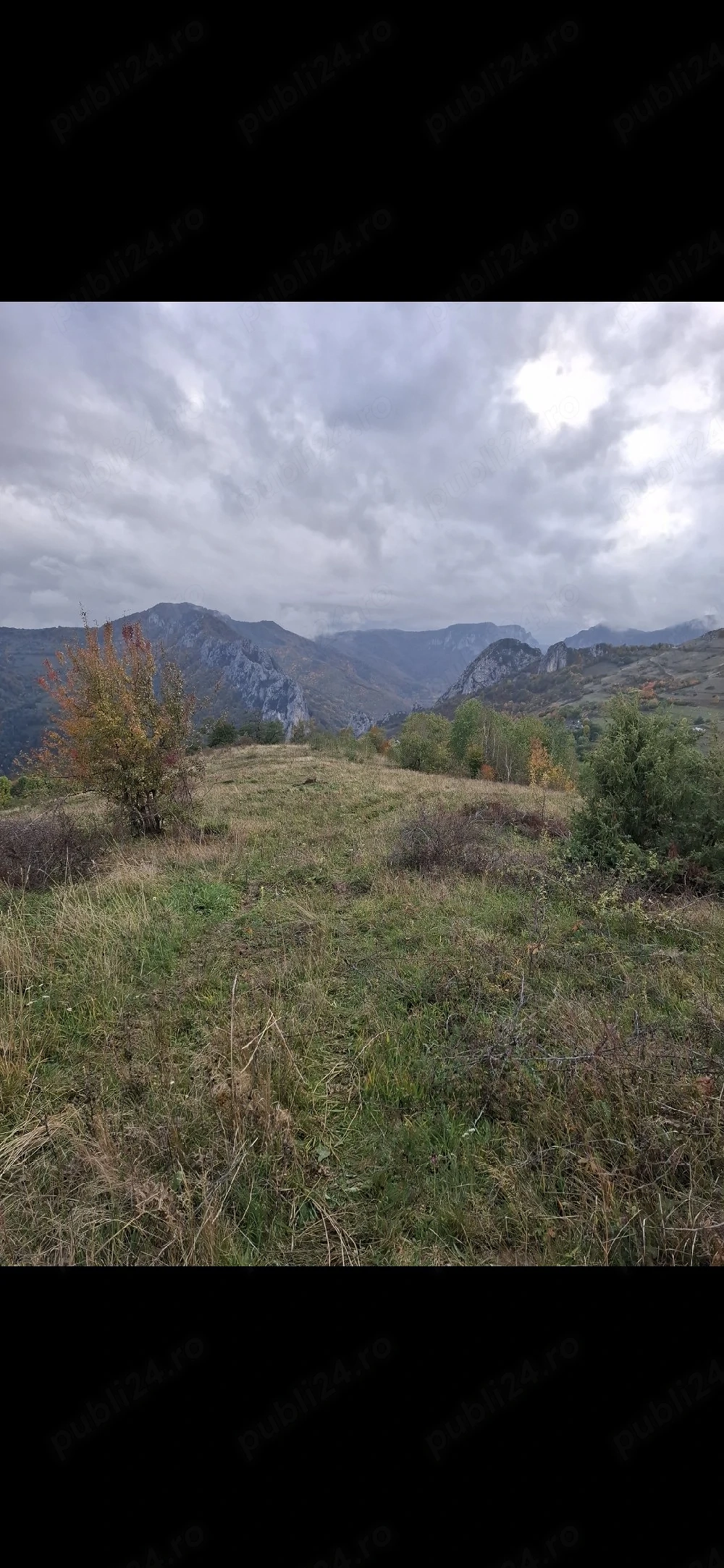 teren de vanzare