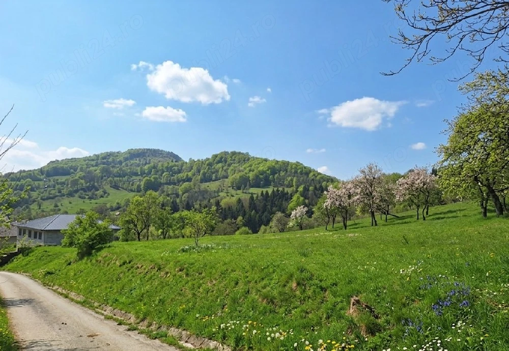 Vând teren intravilan,42.75ari,4275m2,Pret:1473 Euro Arie