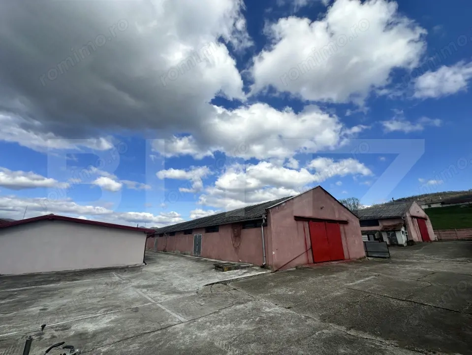 Parc industrial Bârsãu (HALE-BIROURI-APARTAMENT DE LOCUIT-CURTE GENEROASA-TEREN)