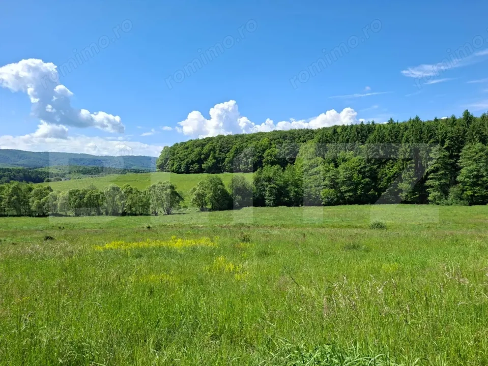 Teren Brasov , Dumbravita ,intravilan 600 mp pretabil casa sau casa de vacanta 
