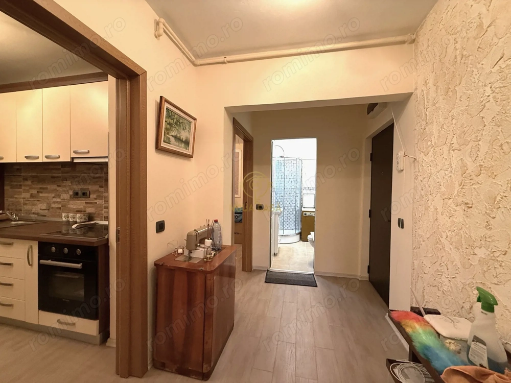 De vanzare Apartament Baia Sprie 3 Camere/Etaj Intermediar