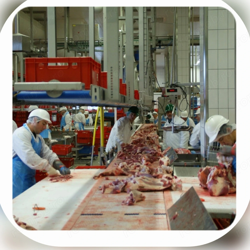 locuri de muncă  la abator- Germania 